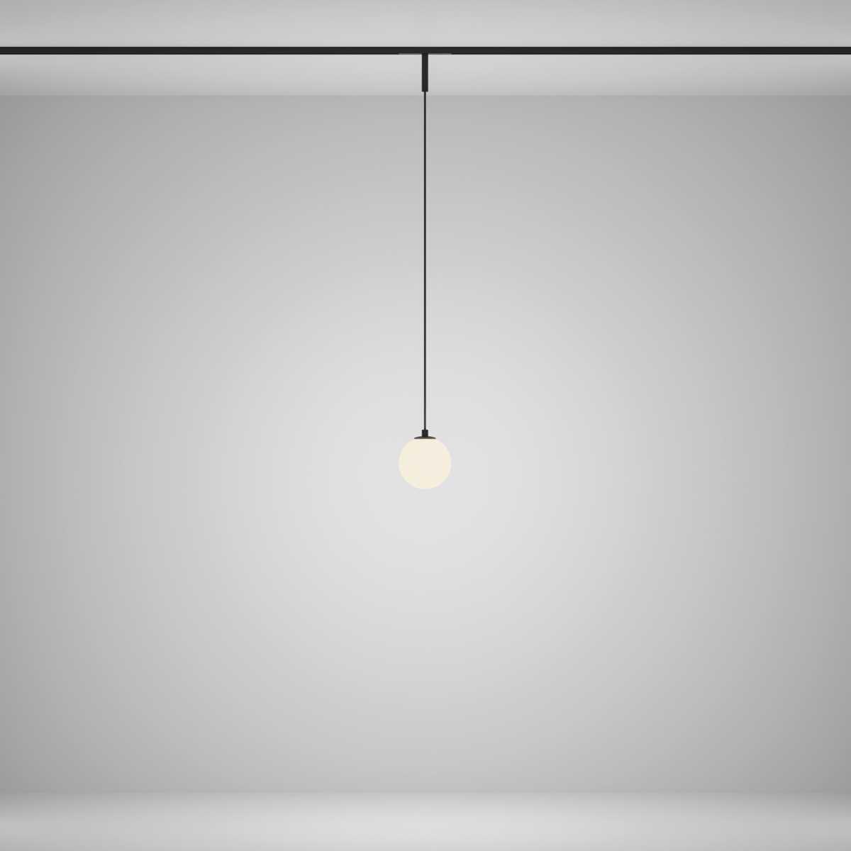 Трековый подвесной светильник Maytoni Technical TR178-1-5WTW-B