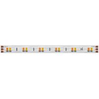 Светодиодная лента Maytoni 12W/m 120LED/m 2835SMD от теплого до холодного 5M 201123