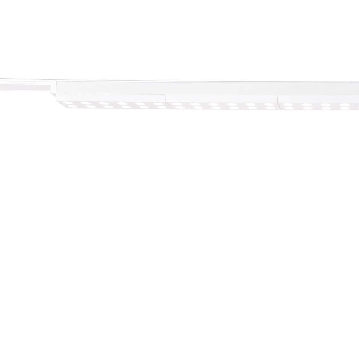 Трековый светодиодный светильник Favourite Unika 4140-2C