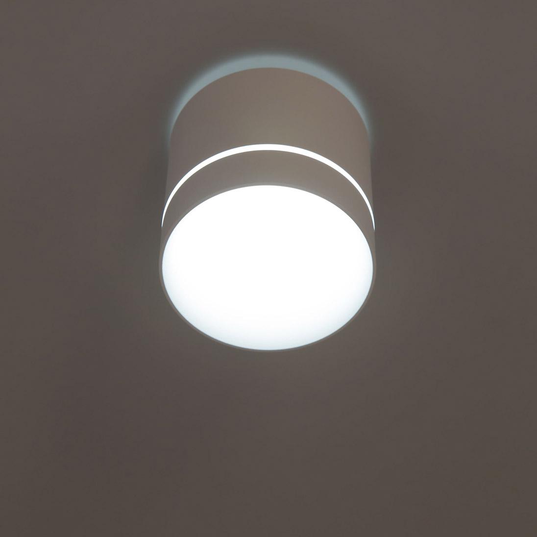 Потолочный светодиодный светильник Citilux Борн CL745020N
