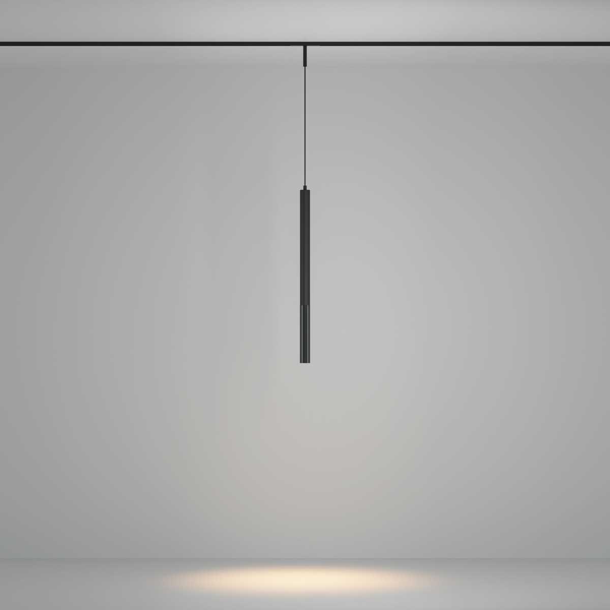 Трековый подвесной светильник Maytoni Technical TR179-1-5WTW-M-B