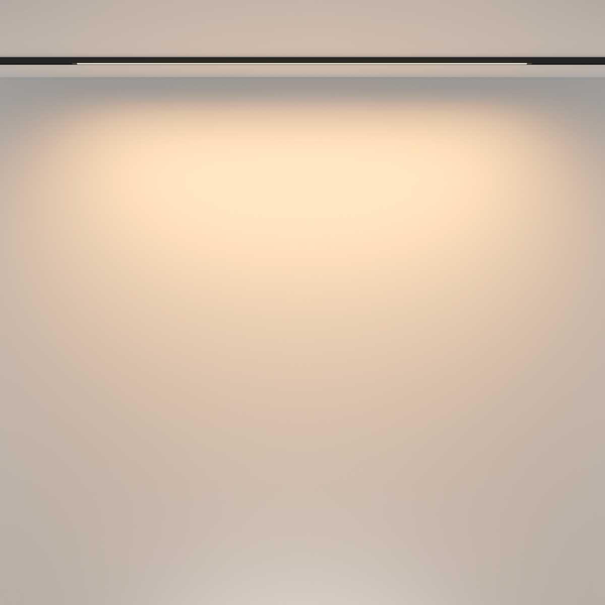 Трековый светильник Maytoni Technical TR173-1-24WTW-B