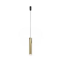 Трековый подвесной светильник Maytoni Technical Skim TR210-1-5W3K-M-BBS