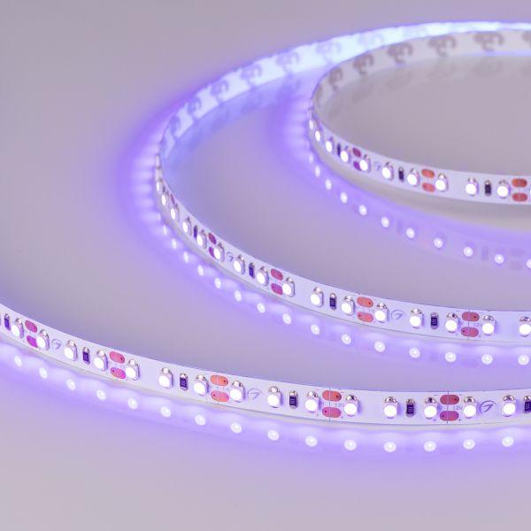 Светодиодная лента Arlight 9,6W/m 120LED/m 2835SMD ультрафиолет 5M 012812(2)