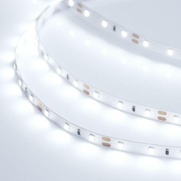 Светодиодная лента Arlight 4,8W/m 60LED/m 2835SMD холодный белый 5M 014884(2)