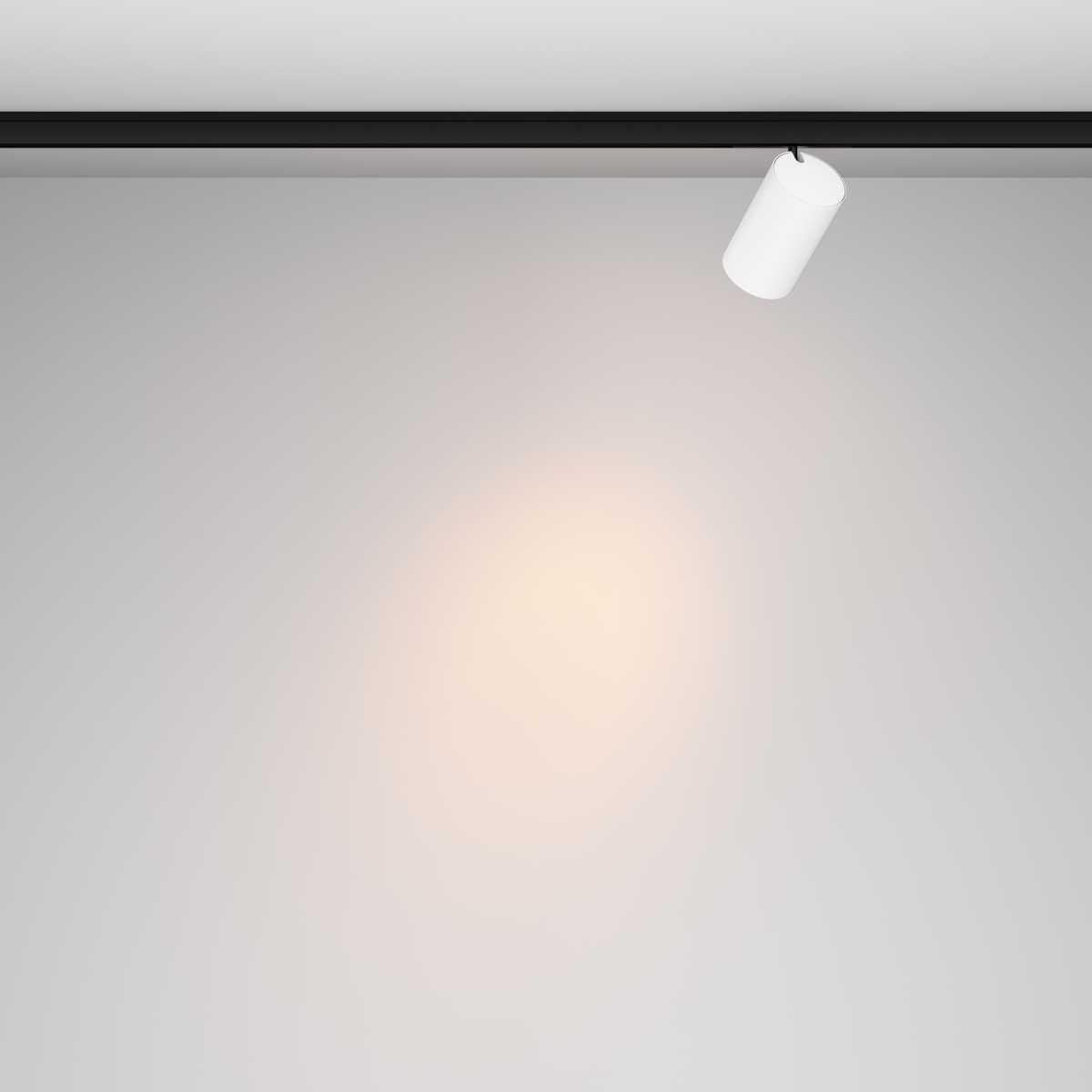 Трековый светильник Maytoni Technical Focus Led TR187-1-5W2.7K-M-BW