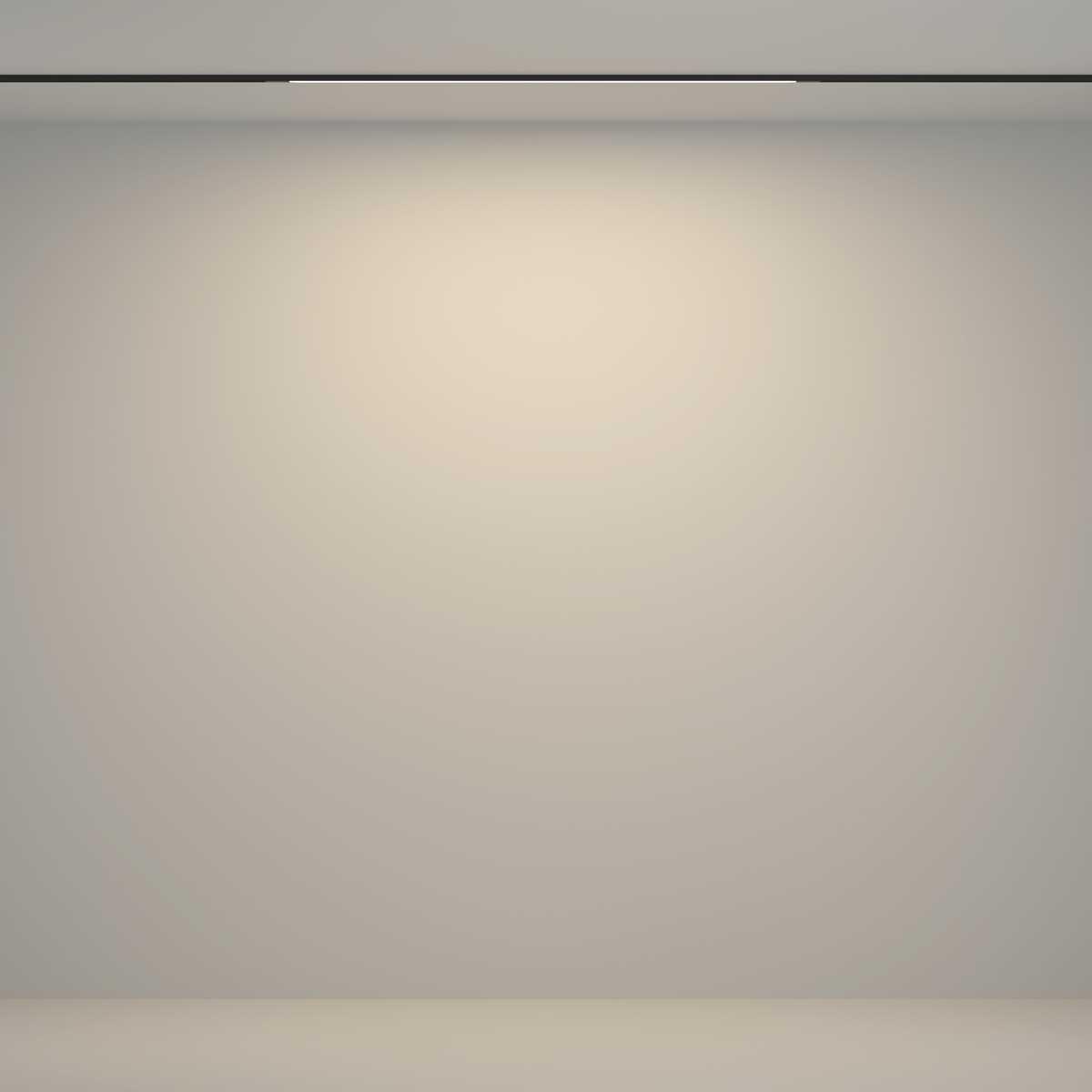Трековый светильник Maytoni Technical TR180-1-12WTW-B