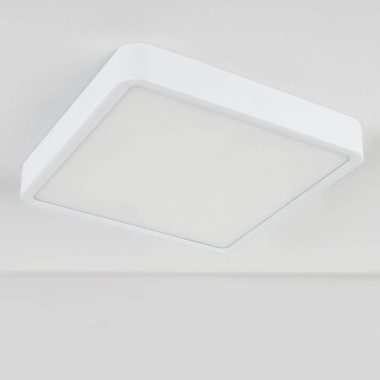 Потолочный светодиодный светильник Elektrostandard DLS034 18W 4200K a043017