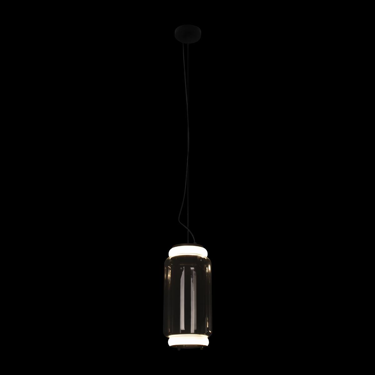 Подвесной светодиодный светильник Loft IT Noctambule 10194/S