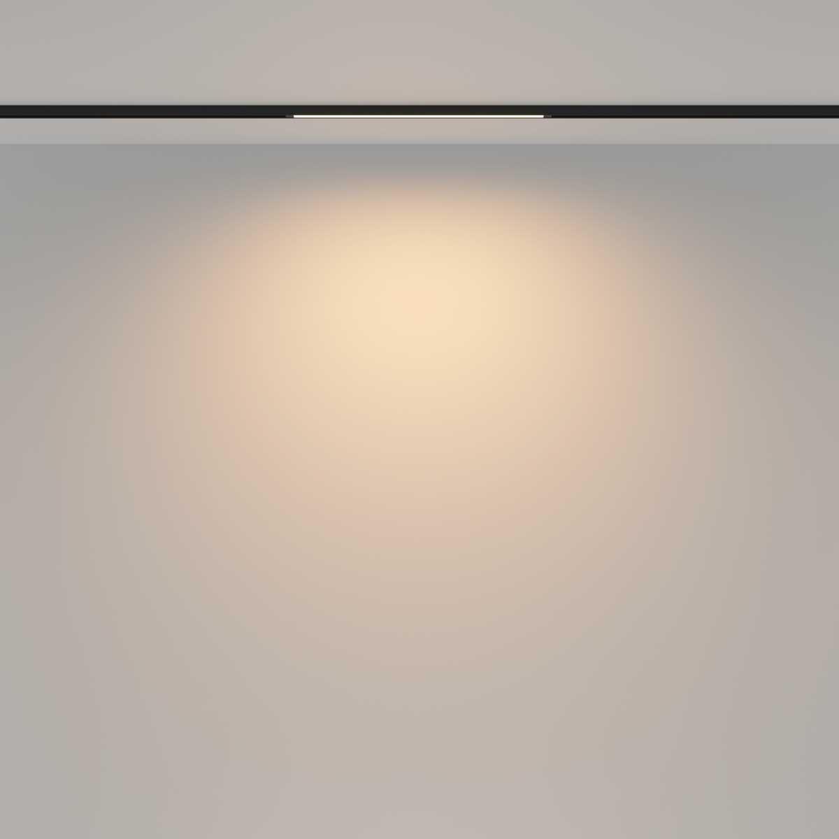 Трековый светильник Maytoni Technical TR173-1-8WTW-B