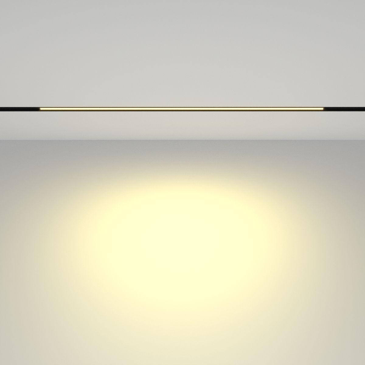 Трековый светодиодный светильник Maytoni Technical Basis TR030-2-24W2.7K-B