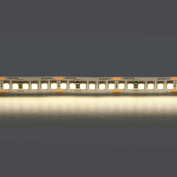 Светодиодная лента Lightstar 24W/m 240LED/m дневной белый 5M 421024