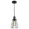 Подвесной светильник Lussole Loft Baldwin GRLSP-9610