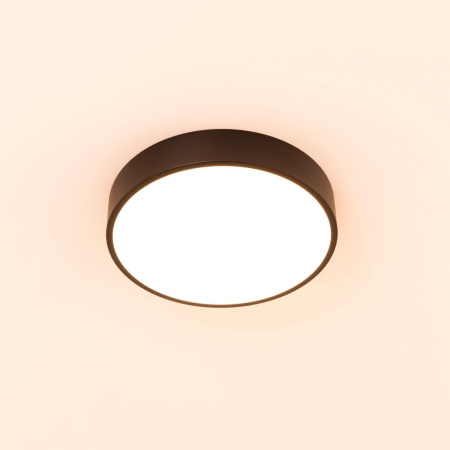 Потолочный светильник Citilux Купер CL72424V1