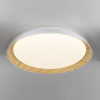 Потолочный светодиодный светильник Citilux Mega CL752352G