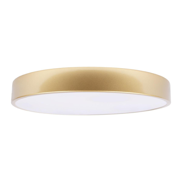 Потолочный светодиодный светильник Loft IT Flims 10228/A