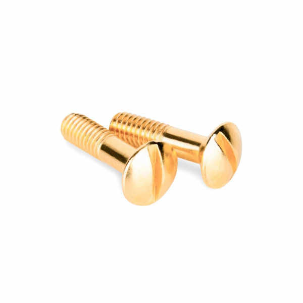 Набор винтов Werkel для распределительной коробки/TV розетки Ретро золото WL18-22-01 4690389105906