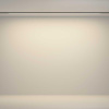 Трековый светильник Maytoni Technical TR180-1-24WTW-B
