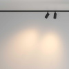 Трековый светильник Maytoni Technical TR176-1-2X5WTW-M-B